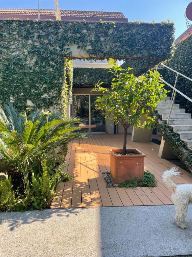Apartamento Joey Pietrasanta Exterior foto